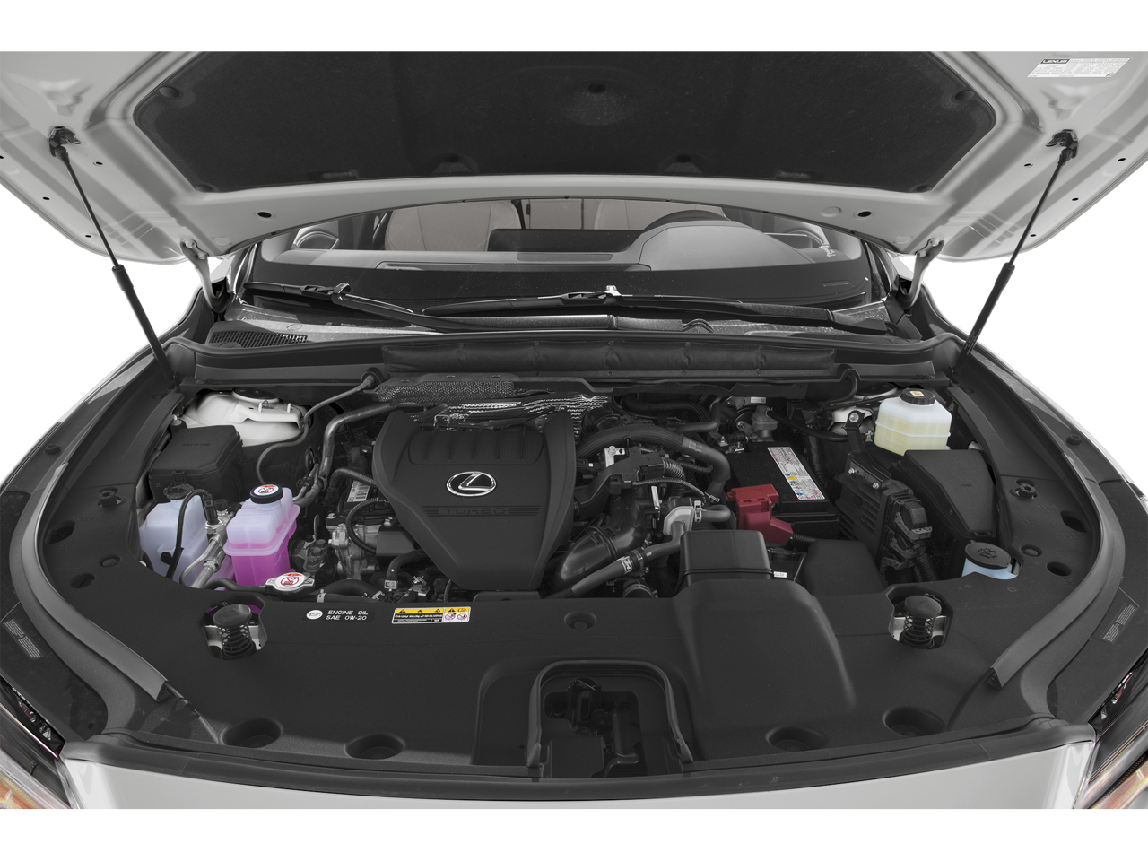 2023 Lexus RX Premium Plus