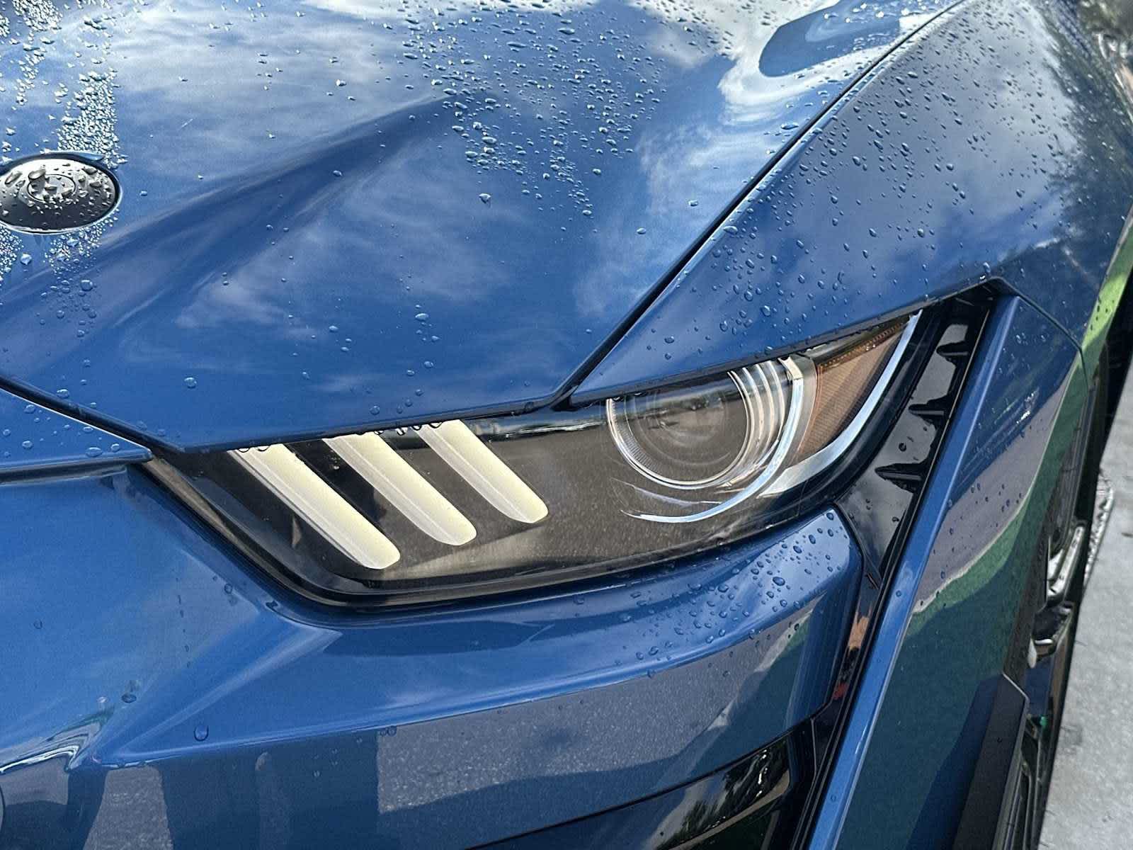 2021 Ford Mustang Shelby GT500