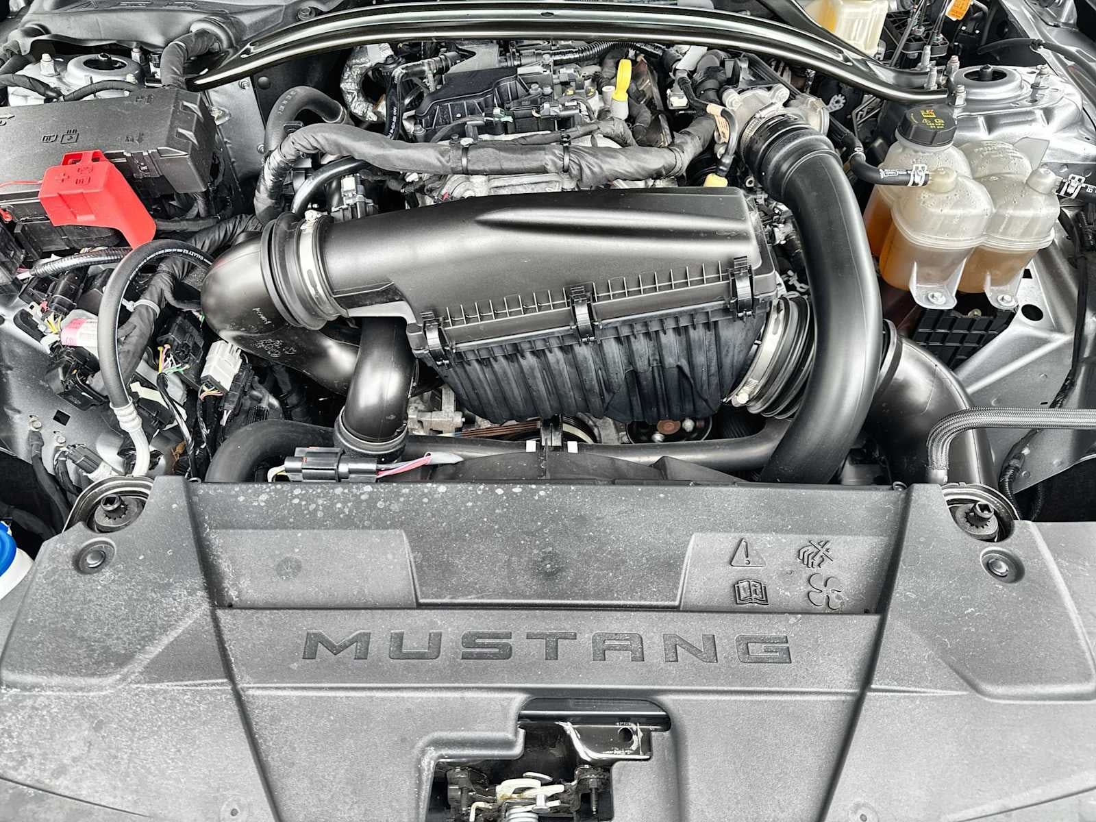 2025 Ford Mustang EcoBoost Premium