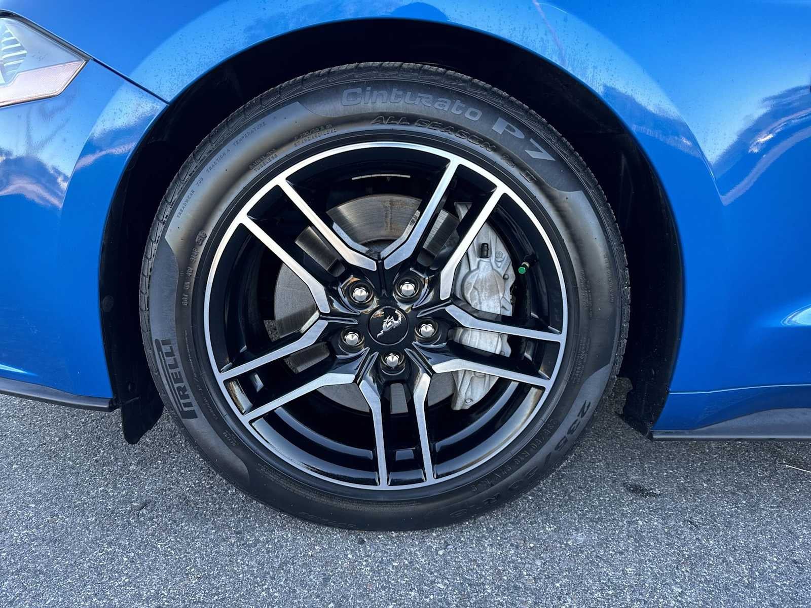 2019 Ford Mustang GT Premium