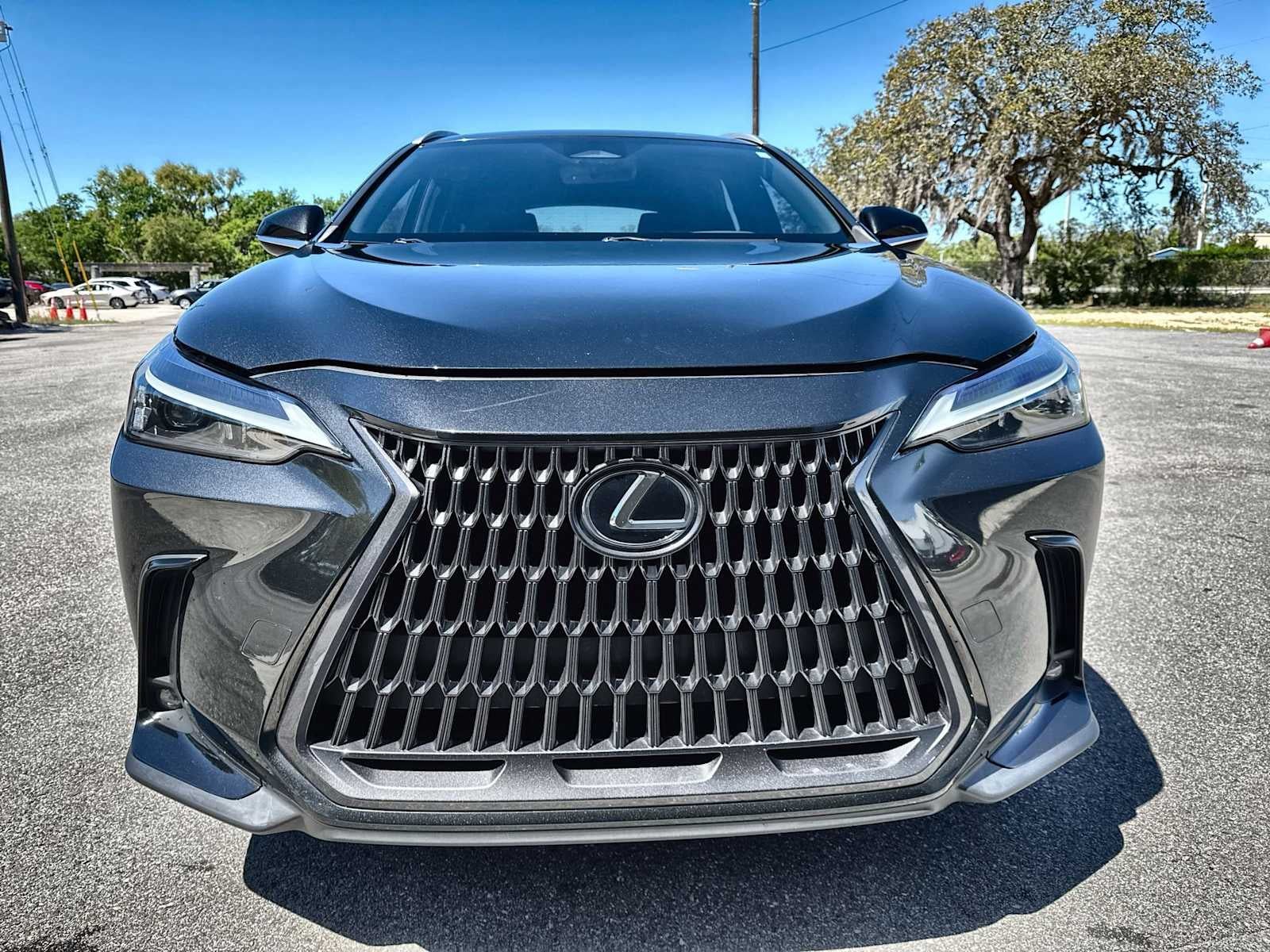 2022 Lexus NX 250 NX 250