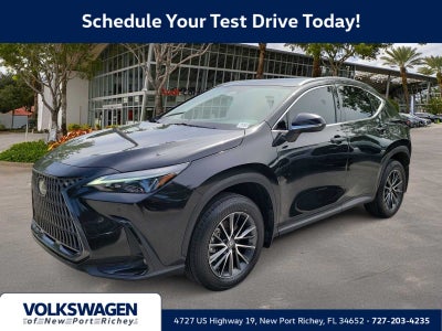 2025 Lexus NX 250 NX 250