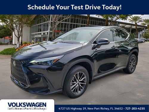 2025 Lexus NX 250 NX 250