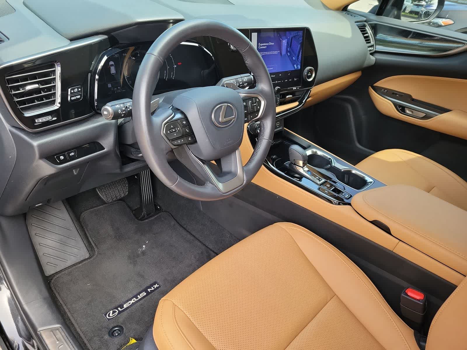 2025 Lexus NX 250 NX 250