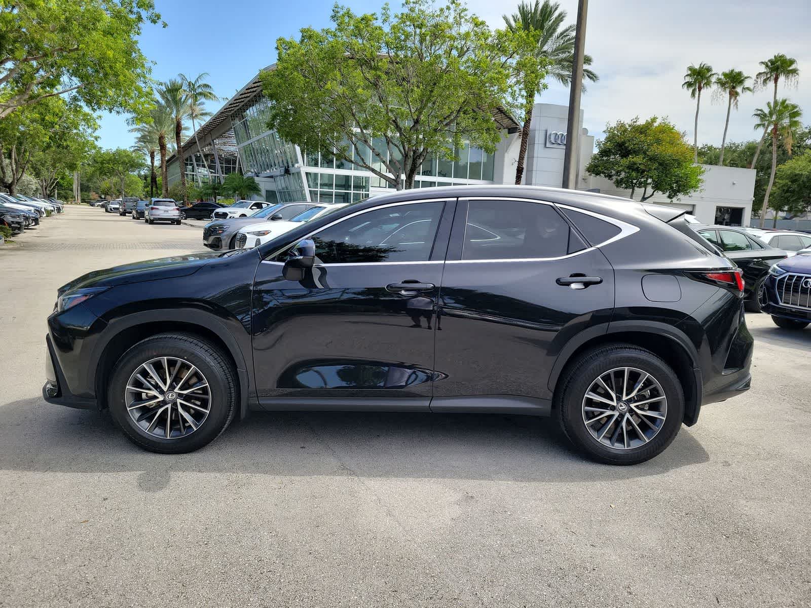 2025 Lexus NX 250 NX 250