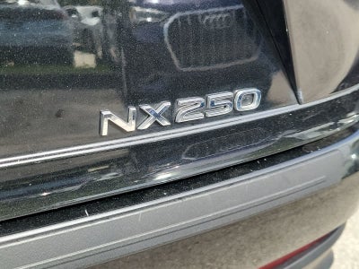 2025 Lexus NX 250 NX 250