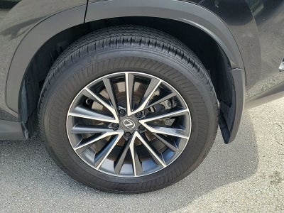 2025 Lexus NX 250 NX 250