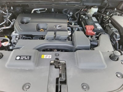 2025 Lexus NX 250 NX 250