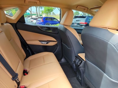 2025 Lexus NX 250 NX 250