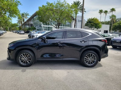 2025 Lexus NX 250 NX 250