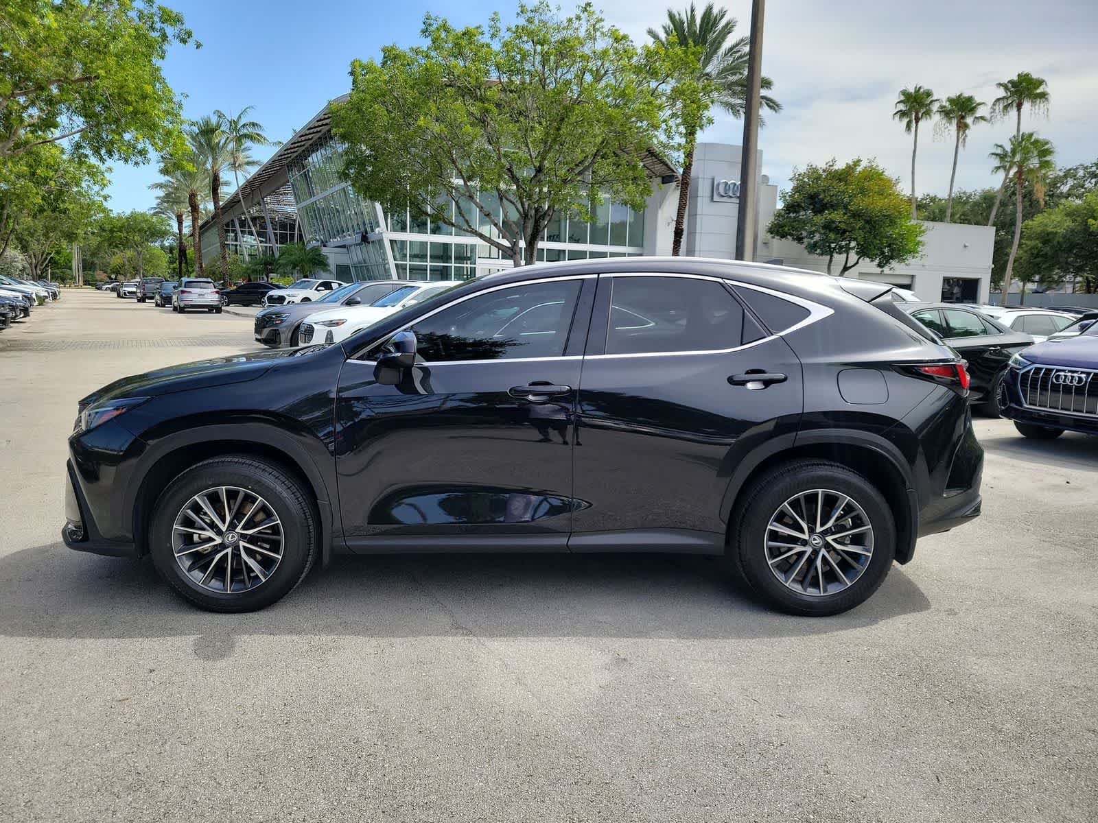2025 Lexus NX 250 NX 250