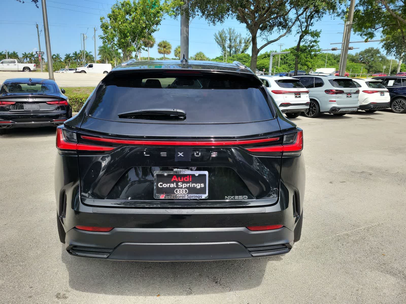 2025 Lexus NX 250 NX 250