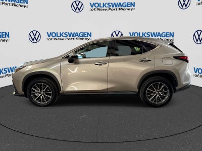 2026 Lexus NX 350 Premium