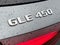 2025 Mercedes-Benz GLE 450 GLE 450