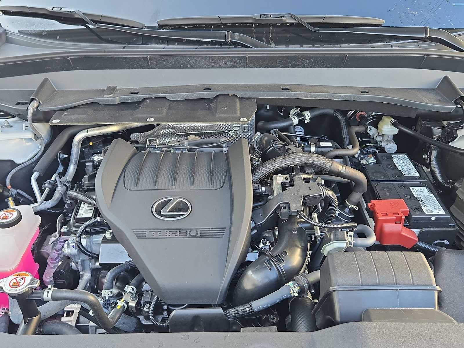 2025 Lexus TX TX 350