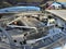 2025 BMW X5 sDrive40i sDrive40i