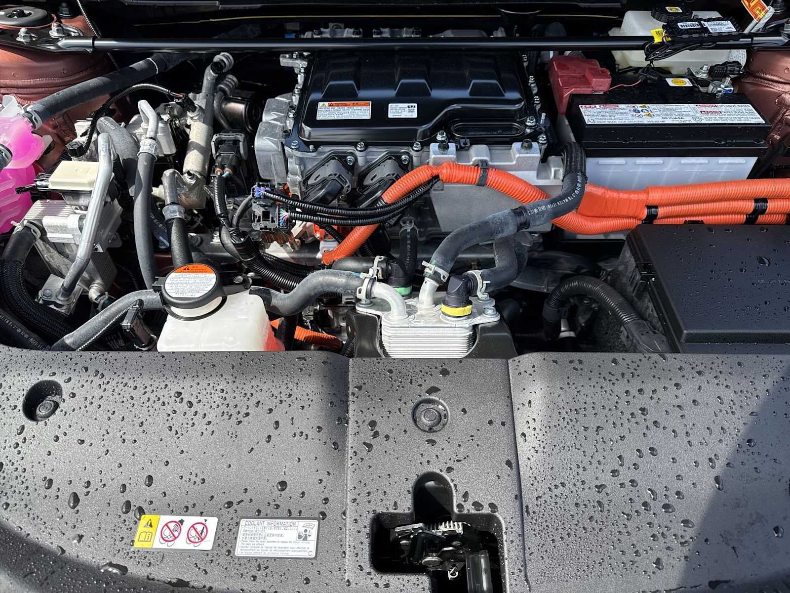2024 Lexus RZ Premium