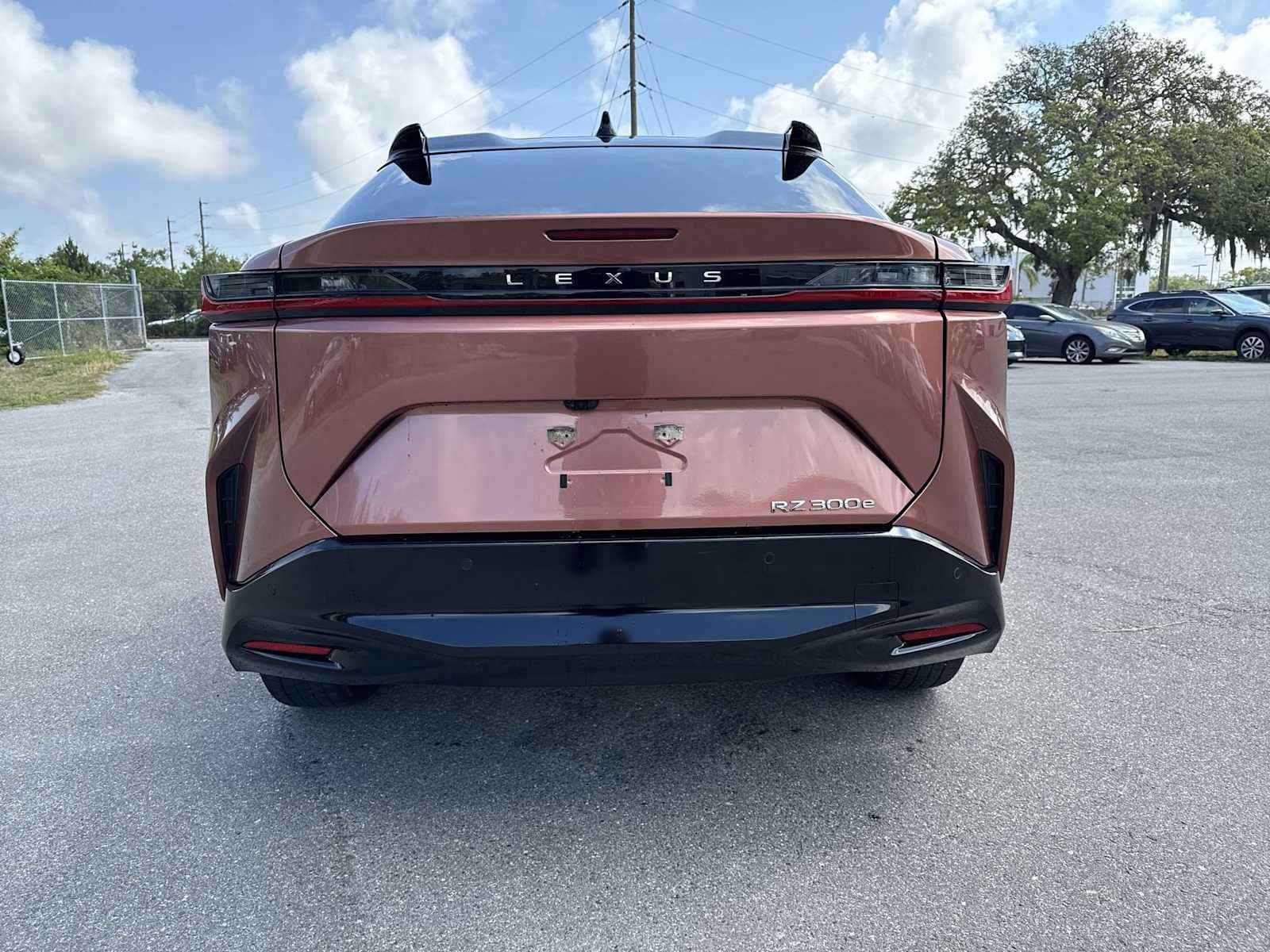 2024 Lexus RZ Premium