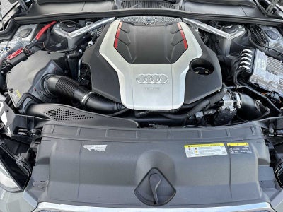 2019 Audi S5 Sportback Premium Plus