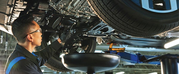 Volkswagen Care Prepaid Scheduled Maintenance Plans at Volkswagen of New Port Richey of New Port Richey FL