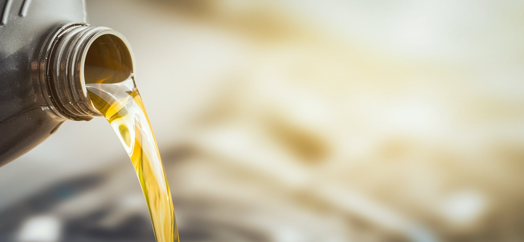 Volkswagen Service near Tampa, FL